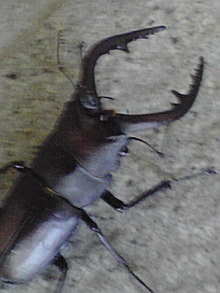 070809_1230~01.jpg