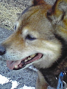 070923_1729~01.jpg