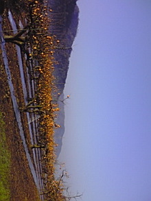 071125_0820~01.jpg