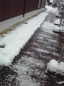 080125_0711~01.jpg