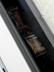 081018_0720~01.JPG