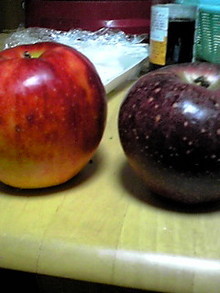 081109_2305~01.JPG