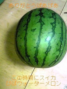 能年 玲奈オフィシャルブログ-081203_2205~01_Ed.JPG